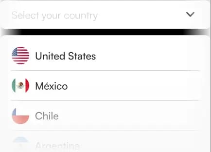 Payments in each country